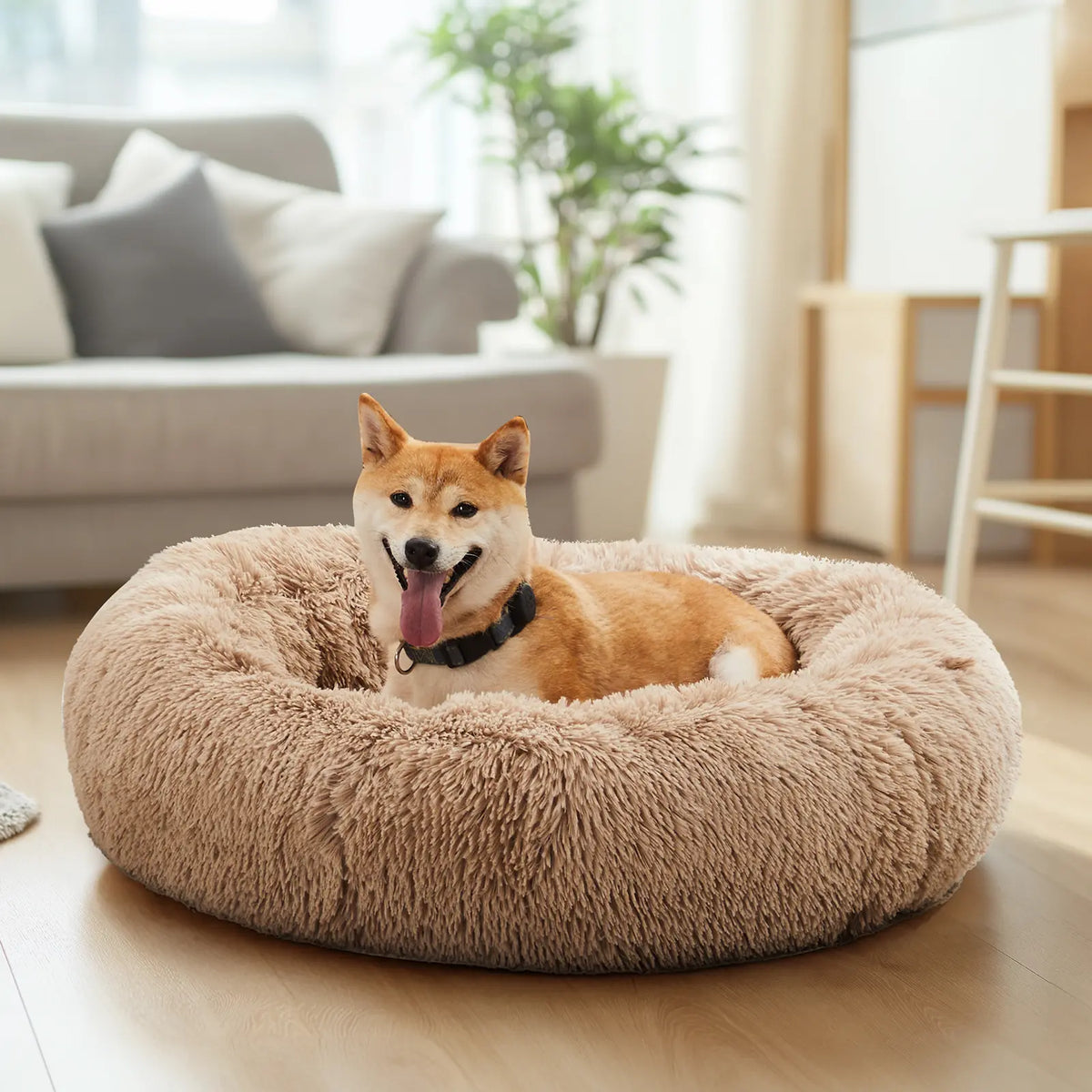 Sweetcrispy Modern Orthopedic Memory Foam Pet Bed for Large Dogs - 3-Sided Bolsters, 20" L x 24" W x 8" H, Waterproof Detachable Cover, Non-Slip Base, Joint Relief, Consistent Support, Pressure Relief, Supportive Sofa, 24 to 48 Hours Recovery