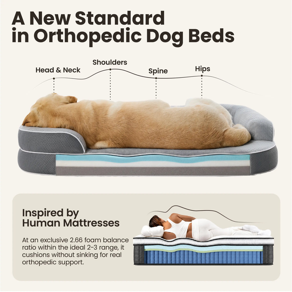 Lesure Realortho Orthopedic Dog Bed for Large and Senior Dogs - 3-Layer Premium Memory Foam with Joint Support, Waterproof Washable Cover, Ideal for Deep Sleep Comfort