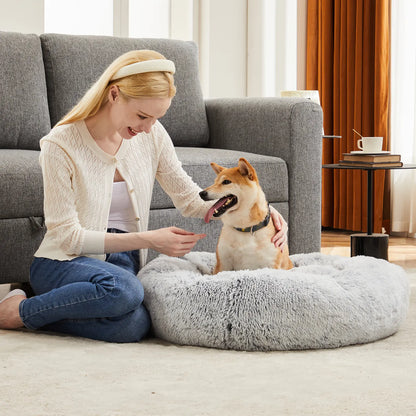 Sweetcrispy Modern Orthopedic Memory Foam Pet Bed for Large Dogs - 3-Sided Bolsters, 20" L x 24" W x 8" H, Waterproof Detachable Cover, Non-Slip Base, Joint Relief, Consistent Support, Pressure Relief, Supportive Sofa, 24 to 48 Hours Recovery