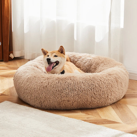 Sweetcrispy Modern Orthopedic Memory Foam Pet Bed for Large Dogs - 3-Sided Bolsters, 20" L x 24" W x 8" H, Waterproof Detachable Cover, Non-Slip Base, Joint Relief, Consistent Support, Pressure Relief, Supportive Sofa, 24 to 48 Hours Recovery