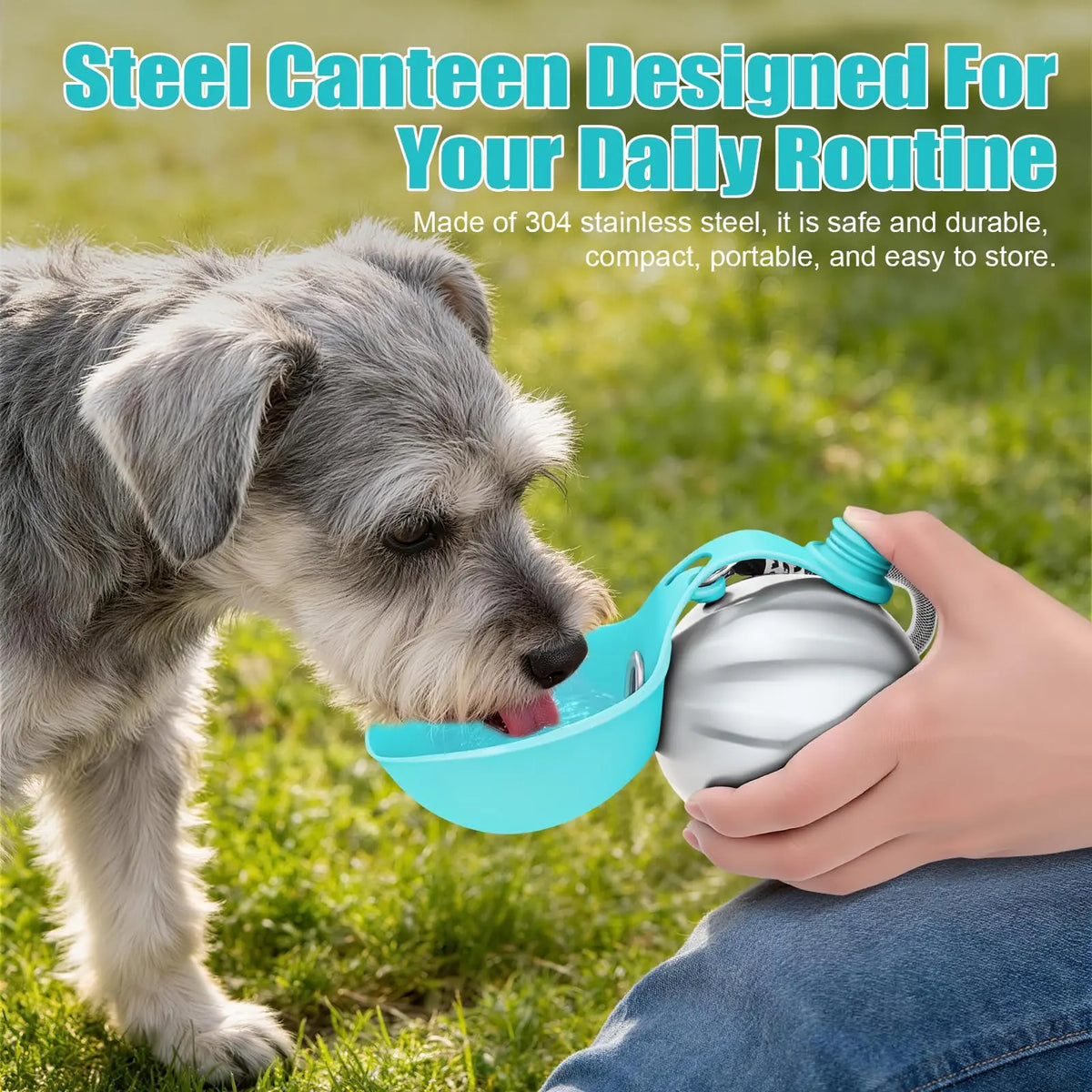 Lumikata 2-in-1 Portable Dog Water Bottle with Silicone Foldable Bowl - 10oz Stainless Steel, Leak-Proof Design for Small Dogs, Ideal for Walking and Feeding
