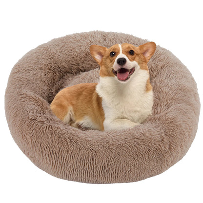 Sweetcrispy Modern Orthopedic Memory Foam Pet Bed for Large Dogs - 3-Sided Bolsters, 20" L x 24" W x 8" H, Waterproof Detachable Cover, Non-Slip Base, Joint Relief, Consistent Support, Pressure Relief, Supportive Sofa, 24 to 48 Hours Recovery