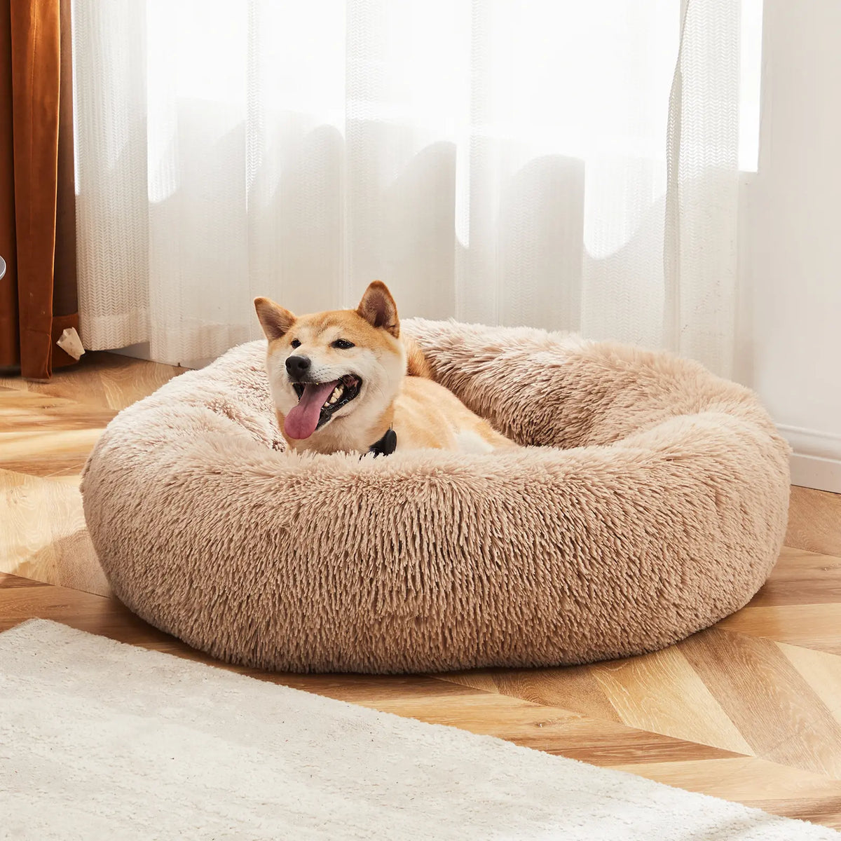 Sweetcrispy Modern Orthopedic Memory Foam Pet Bed for Large Dogs - 3-Sided Bolsters, 20" L x 24" W x 8" H, Waterproof Detachable Cover, Non-Slip Base, Joint Relief, Consistent Support, Pressure Relief, Supportive Sofa, 24 to 48 Hours Recovery