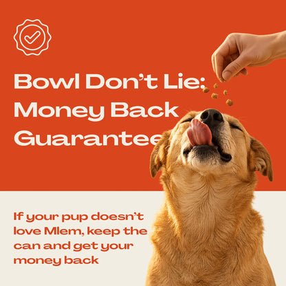 Mlem Beef Topper Spray for Dogs - Nutritional Enhancer for Canine Diets